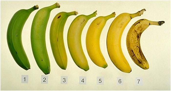 banany-7