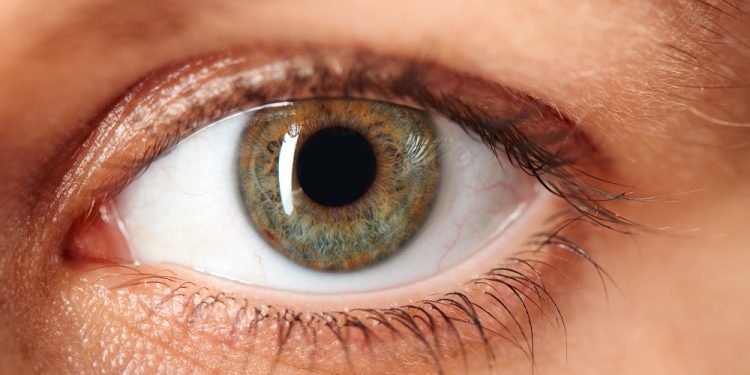 Macro image of human eye