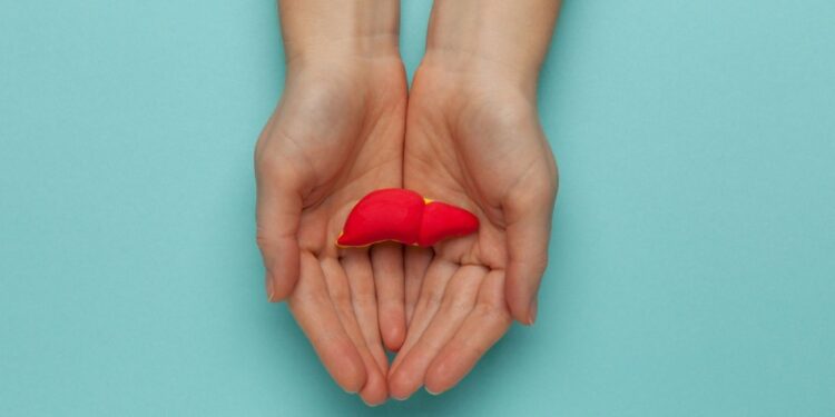 Symbol wątroby, grafika wiodąca do artykułu 7 zaskakujących objawów uszkodzenia wątroby